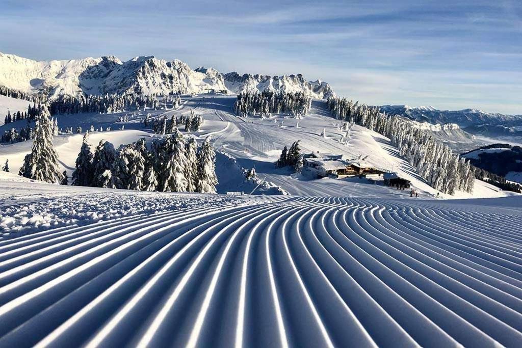 Tirol Chalet Brixen 布利克森塔勒 外观 照片