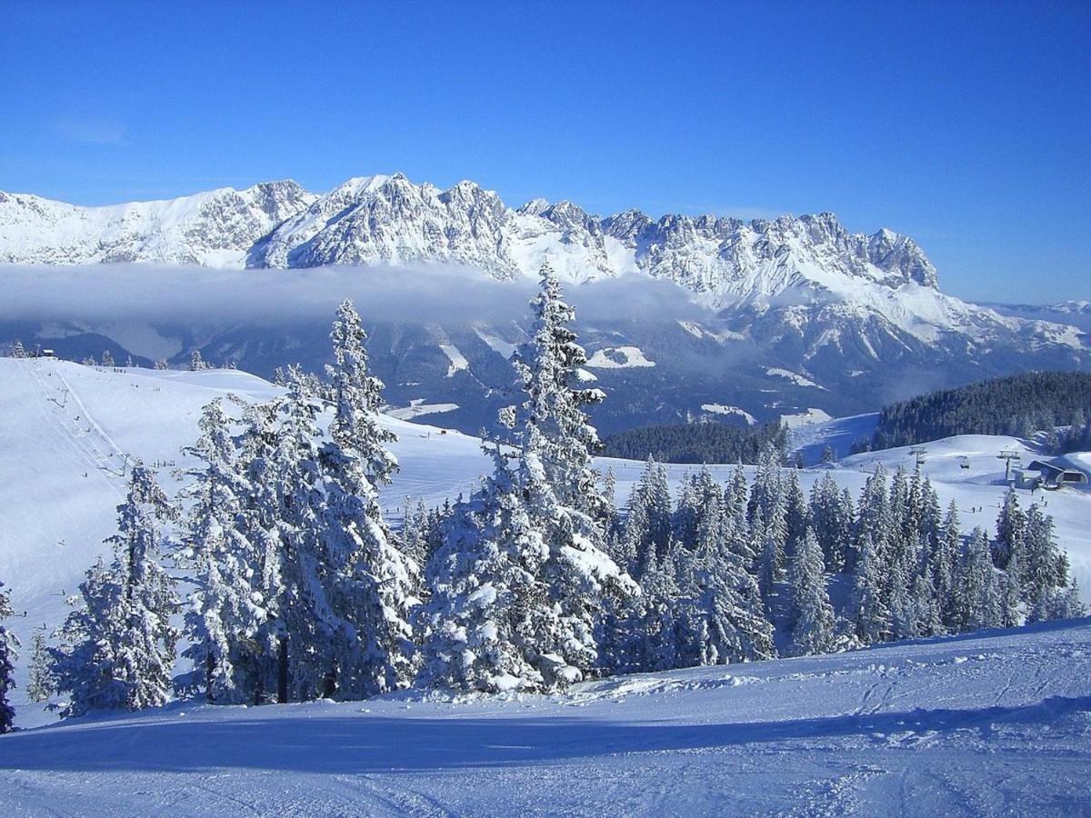 Tirol Chalet Brixen 布利克森塔勒 外观 照片